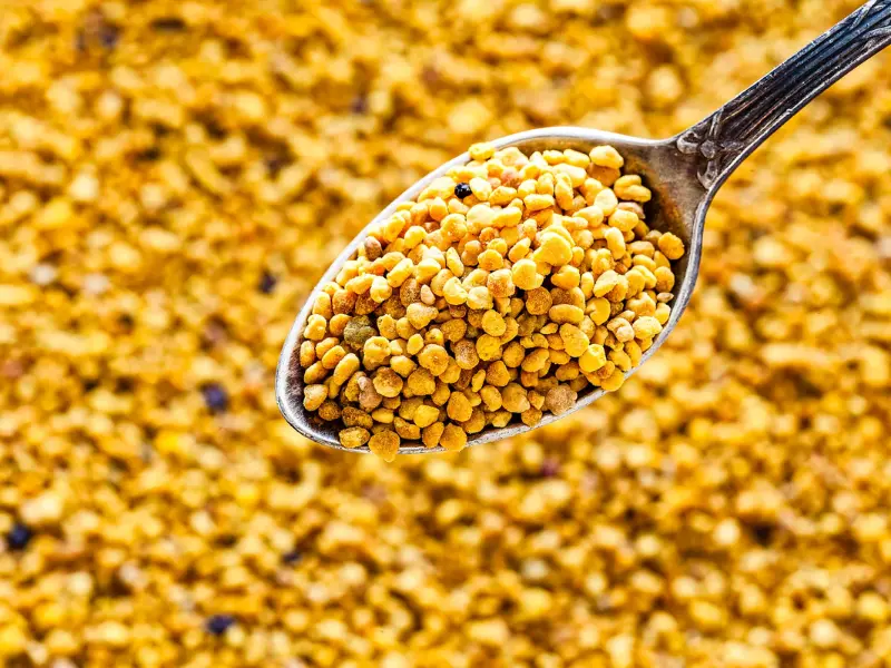 bee pollen.webp